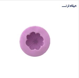 قالب سیر قطر 5سانت