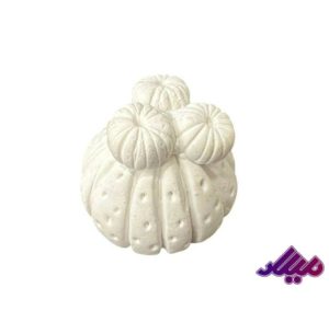 قالب سیلیکونی کاکتوس 3 گل ارتفاع 4 قطر 2.5