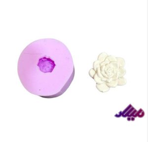 قالب سیلیکونی کاکتوس کد 6 قطر 4 سانت