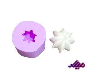 قالب سیلیکونی کاکتوس کد 2 قطر 4 سانت